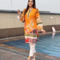 Elegant Traditional Silk Sare