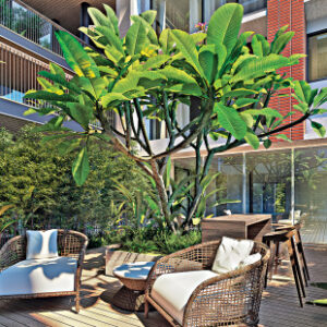Houseing an-outlook2